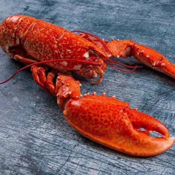 Jack Sprats — Appledore restaurant & bistro